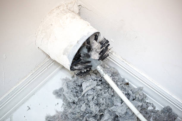 Best Air Duct Cleaning Near Me  in Waimanalo Beach, HI